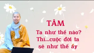 Tâm ta như thế nào thì cuộc đời ta sẽ như thế ấy - Sc.Giác Lệ Hiếu