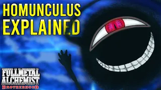 Homunculus EXPLAINED?!