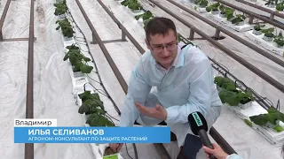 Новые методы выращивания растений в "Тепличном" (2020 02 05)