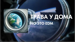 ТРАВА У ДОМА, НО ЭТО EDM