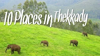 Top 10 Places | Thekkady | south india tourism