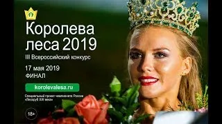 Королева леса 2019. Финал