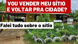 SÍTIO A VENDA. PORQUE VOU VENDER MEU SÍTIO? VOU VOLTAR PRA CIDADE?