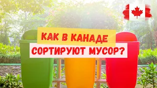 Как в Канаде сортируют мусор?