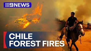 Dozens reported dead as forest fires sweep across Chile | 9 News Australia