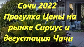 Сочи 2022 Прогулка Цены на рынке Сириус и дегустация Чачи