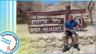 En el silencio del desierto Israel se transformó en pueblo -paseo por un oasis