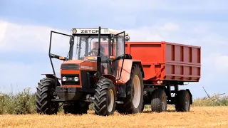 Žně 2019 | E514 v akci | Harvest 2019 Fortschritt !