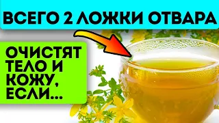 Расскажешь соседке - не поверит! Всего 0,5 ст. ложки травы залить водой и настоять на...