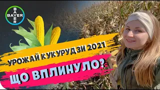 ЩО ЗНИЗИЛО УРОЖАЙ КУКУРУДЗИ 2021? #ТопАгрополів