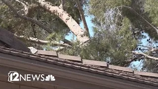 Local contractors fixing hundreds of roofs after monsoon storms
