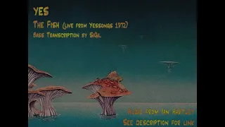 Chris Squire Bass Transcription - The Fish, Yessongs Live Version