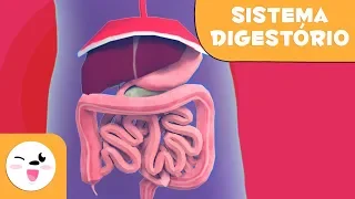 As partes do sistema digestório - Uma viagem para o interior do corpo humano