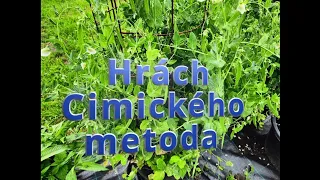 Hrách Cimického metoda