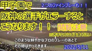 閲覧注意！甲子園で阪神の選手がエラーをしたらこうなります！２つのファインプレーで挟みましたが、苦手な方はご遠慮ください。初めて足を運ばれる方はこの動画でかるく免疫をつけてからどうぞ！2022/5/11