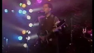 Pete Shelley - Homosapien