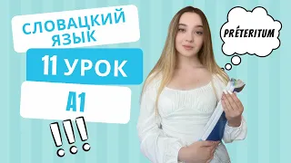 Словацкий язык. Урок 11. Прошедшее время