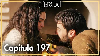 Hercai - Capítulo 197