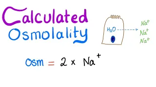 Calculated Osmolality