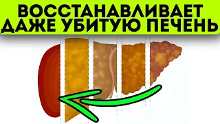 Сколько можно молчать?! Даже после потери 2/3 здоровых клеток печень можно восстановить этим