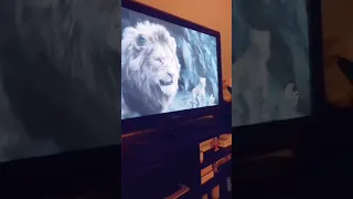 CAT AFRAID OF THE LION KING MOVIE 😁