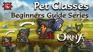 Orna, Aethric - Pet Class Progression Full Guide - Deep Dive - Beginner Guide Series