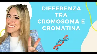 CROMATINA CROMOSOMA E DNA - DIFFERENZE 🧬