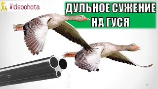 Дульное сужение для охоты на гуся! Videoohota