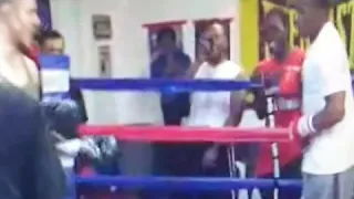 Charlie Z Pot Shotted Mayweather literally