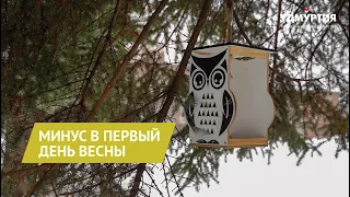 В первый день весны в Удмуртии похолодает