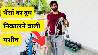 देखिए भैंसों का दूध निकालने वाली मशीन ॥ Buffalo Milking Machine || Grewal Dairy Farm.