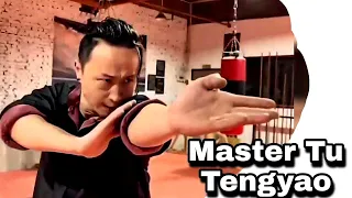 Master Tu Tengyao next wing chun techniques | PART-4