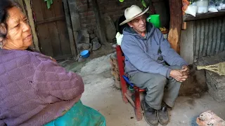 6. Cociendo las pencas de maguey