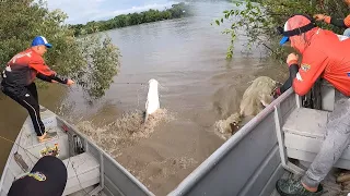 Con solo 10 lombrices sacamos 2 pescados gigantes