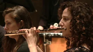 Brahms: Serenade no. 1 in D Major, op. 11 | The Israel Camerata Jerusalem | Roberto Forés Veses