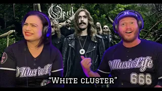 OPETH - White Cluster (Reaction) One of their best rhythm sections ever? #opeth #d_music_life