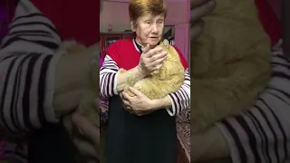 Хочю себе синий синий нет так то красного кота хочу