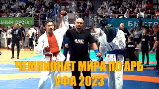 Чемпионат и первенство мира по АРБ УФА 2023