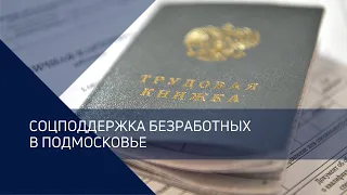 Открытая трибуна на тему: «Обеспечение занятости и трудоустройства населения Московской области».