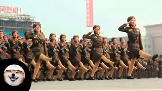 Pohjois-Korealaiset Marssimassa Muumimusiikin Tahtiin