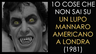 10 COSE CHE NON SAI SU UN LUPO MANNARO AMERICANO A LONDRA - 1981 - THE VNTG NETWORK