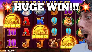 💥Huge Bonus Win💥 Buffalo King Slot Machine | Stake