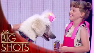 Dog Grooming Expert Ruby @BestLittleBigShots