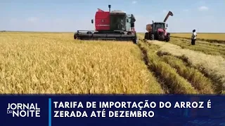 Três tipos de arroz têm tarifa de importação zerada até dezembro | Jornal da Noite