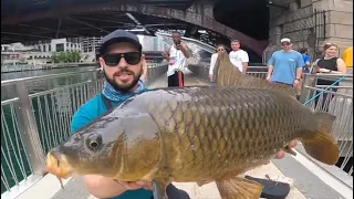 How to Catch The Biggest Fish in Chicago Downtown Chicago River Walk Fishing with 4lb Test