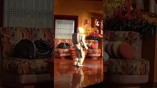 Honda ASIMO Robot Running #shorts #travel #honda #asimo #robot
