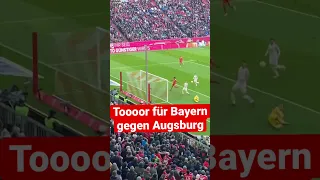 Tor Bayern gegen Augsburg #fcbayern #augsburg #bundesliga #goals #bayernmunich