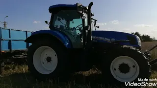 Żniwa gorczycy 2019 (Bizon Super Z056 i New Holland T6175)