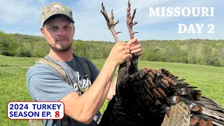 HOOK BIRD DOWN! Wingbone Call Fools Another One - Missouri Trip Day 2/2