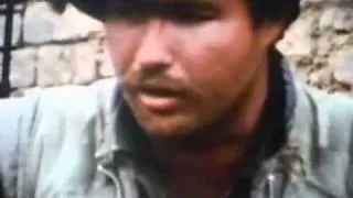 Tet Offensive War Footage